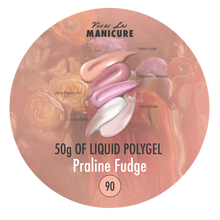 Load image into Gallery viewer, LIQUID POLYGEL Praline Fudge 25g/50g in jar.