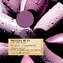 Load image into Gallery viewer, Molecule Nr 29 Gel Polish 10 ml.