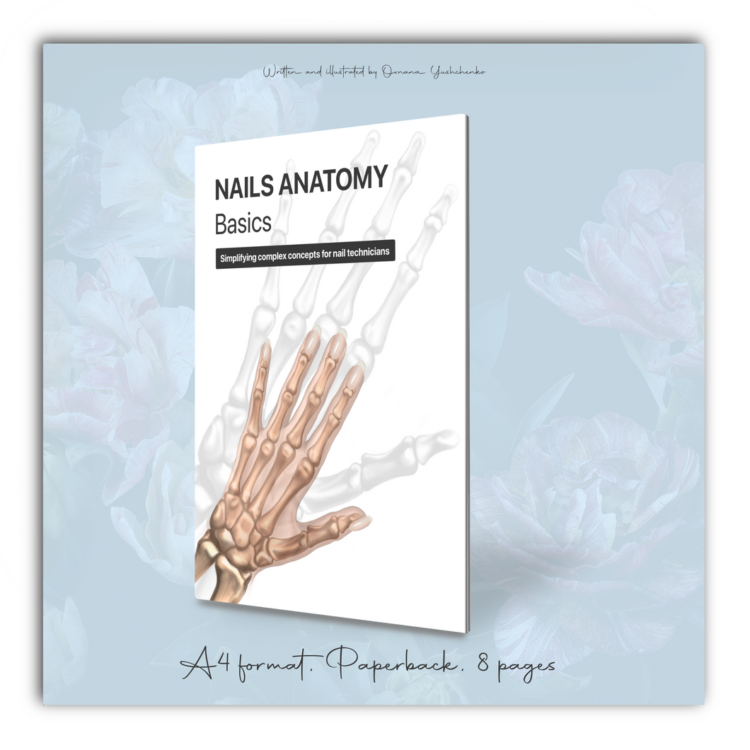 (English edition) NAILS ANATOMY basics. Simplifying complex concepts for nail technicians, A4 format, Paperback, 8 pages