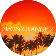 Load image into Gallery viewer, Nr 9 Viva La Manicure - Neon Orange 2 (5g)
