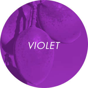 Nr 15 Viva La Manicure - Violet (5g)